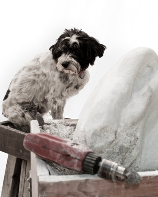 Blancas Ploppi c'era anche con noi ;-) - Foto: Stephan Rossi, Baden