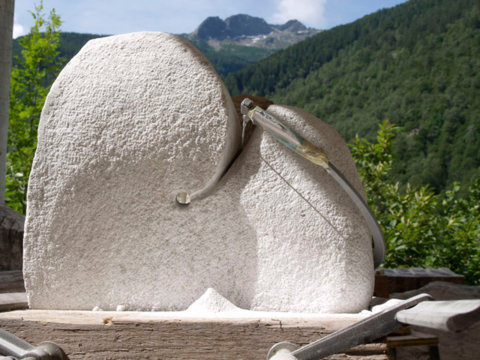 18_Steinbildhauen_Scuola_di_Scultura_Peccia_Juni_web-(7)
