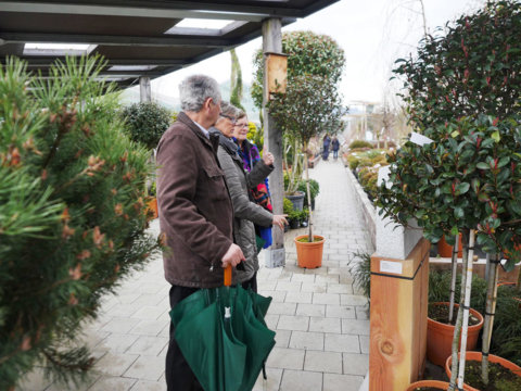 Reliefs_zum_thema_wachstum_gartencenter_maier_2018-(11)_web