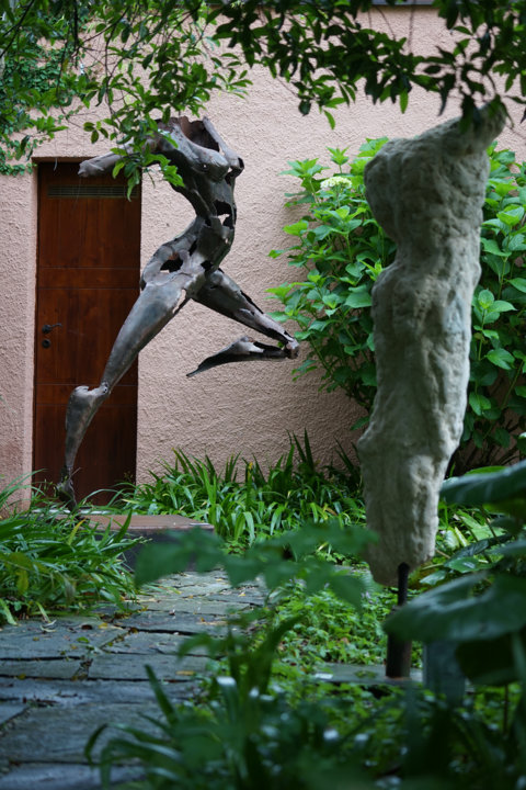 DSC02513_web