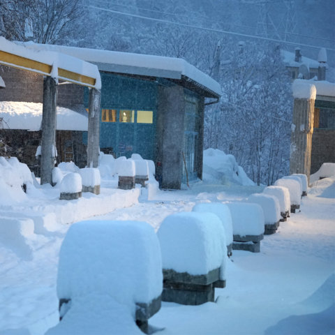 zz_scuola_di_scultura_winter_2020_peccia_web (2)